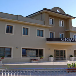 Giga Hotel